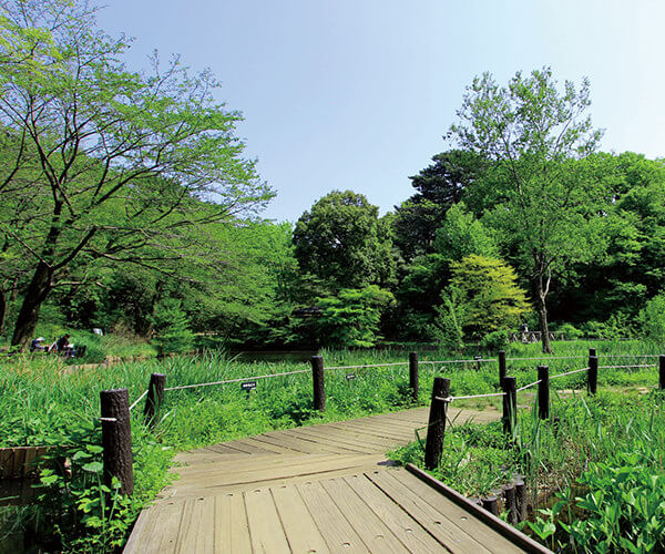 目黒御廟周辺画像