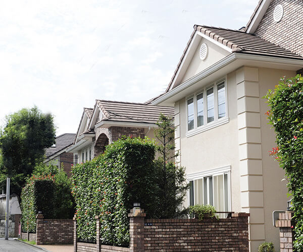 目黒御廟周辺画像